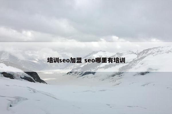 培训seo加盟 seo哪里有培训