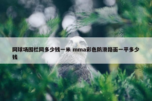 网球场围栏网多少钱一米 mma彩色防滑路面一平多少钱