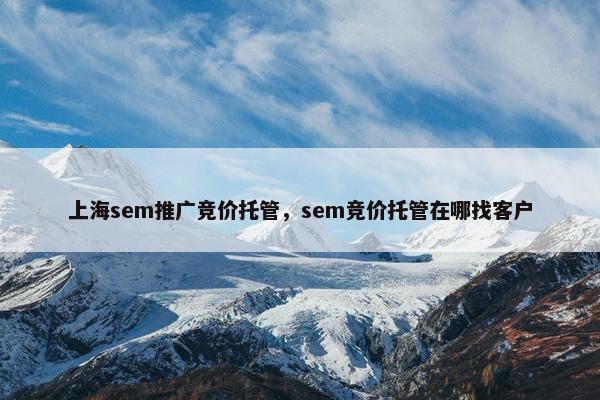 上海sem推广竞价托管，sem竞价托管在哪找客户