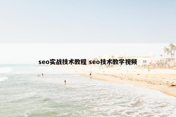 seo实战技术教程 seo技术教学视屏