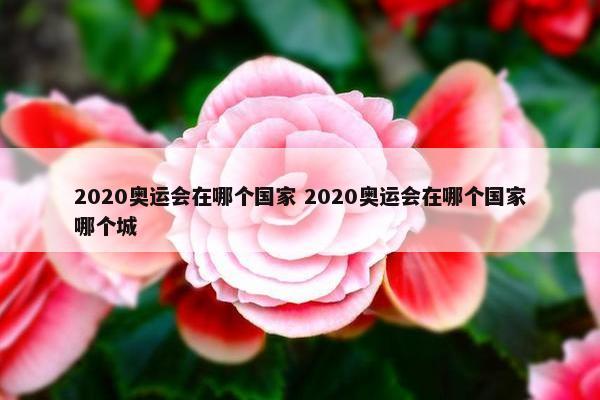 2020奥运会在哪个国家 2020奥运会在哪个国家哪个城