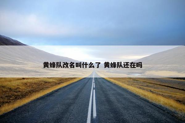 黄蜂队改名叫什么了 黄蜂队还在吗