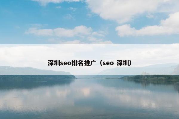 深圳seo排名推广（seo 深圳）