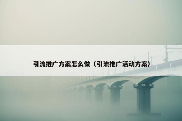 引流推广方案怎么做（引流推广活动方案）