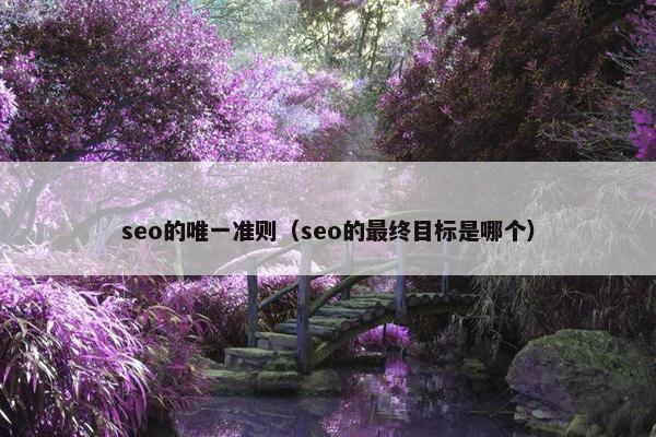 seo的唯一准则（seo的最终目标是哪个）