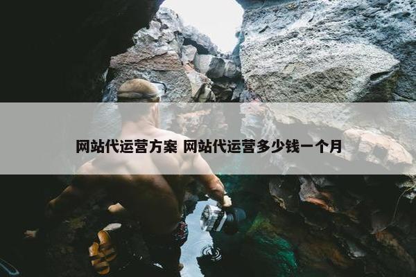 网站代运营方案 网站代运营多少钱一个月