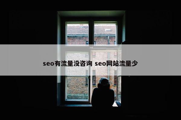 seo有流量没咨询 seo网站流量少