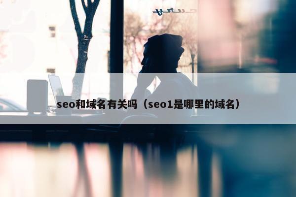 seo和域名有关吗（seo1是哪里的域名）