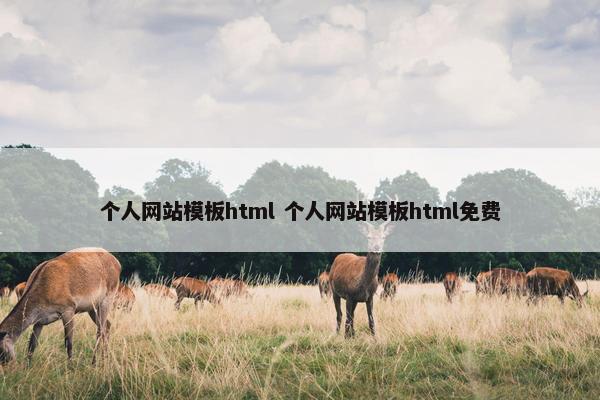 个人网站模板html 个人网站模板html面菲