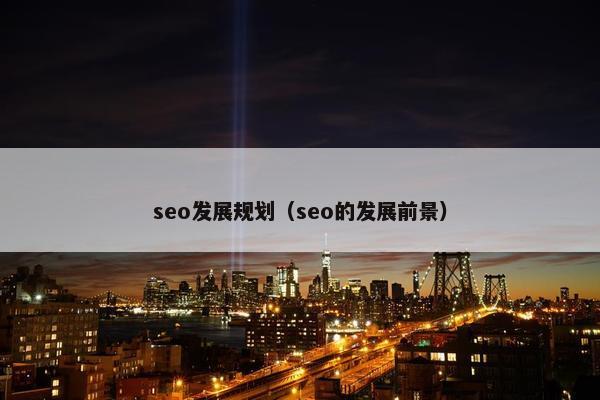 seo发展规划（seo的发展前景）