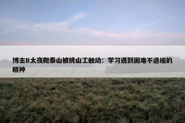 博主B太夜爬泰山被挑山工触动：学习遇到困难不退缩的精神