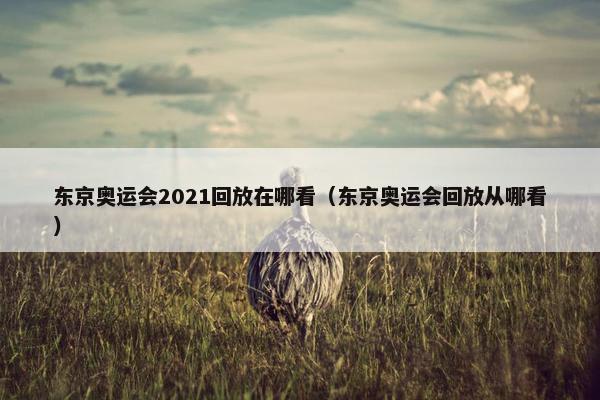 东京奥运会2021回放在哪看（东京奥运会回放从哪看）