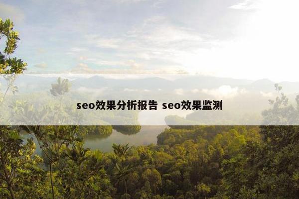 seo效果分析报告 seo效果监测