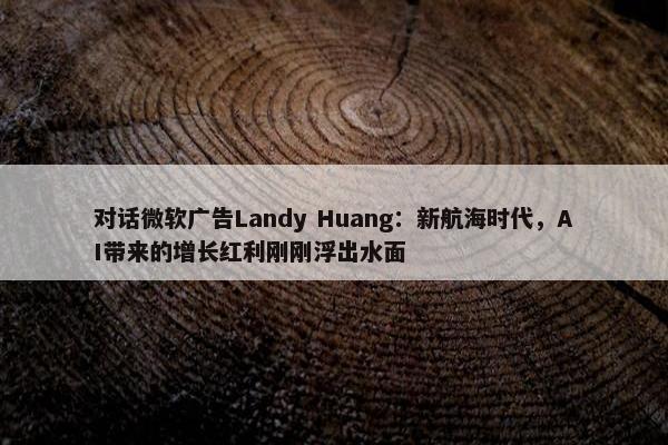 对话微软广告Landy Huang：新航海时代，AI带来的增长红利刚刚浮出水面