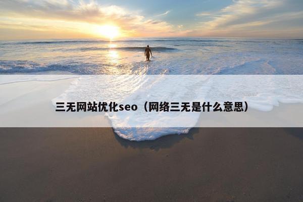 三无网站优化seo（网络三无是什么意思）