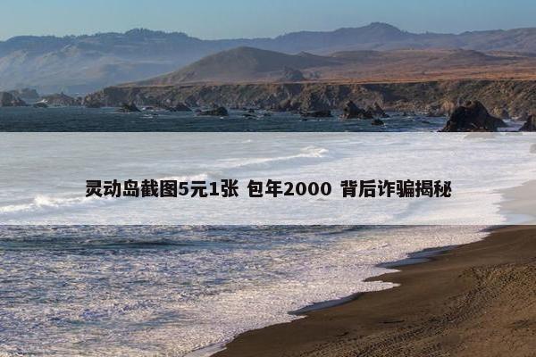 灵动岛截图5元1张 包年2000 背后炸p揭秘