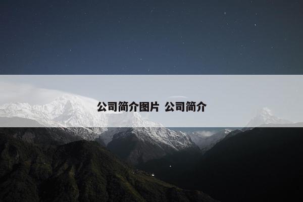 公司简介图片 公司简介