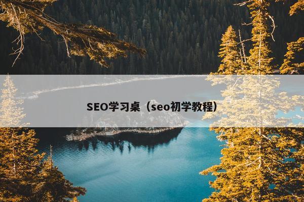 SEO学习桌（seo初学教程）