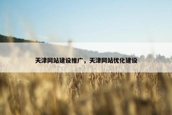 天津网站建设推广，天津网站优化建设