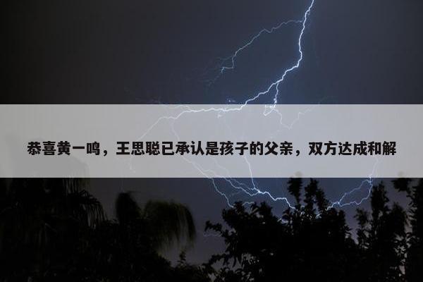 恭喜黄一鸣，王思聪已承认是孩子的父亲，双方达成和解