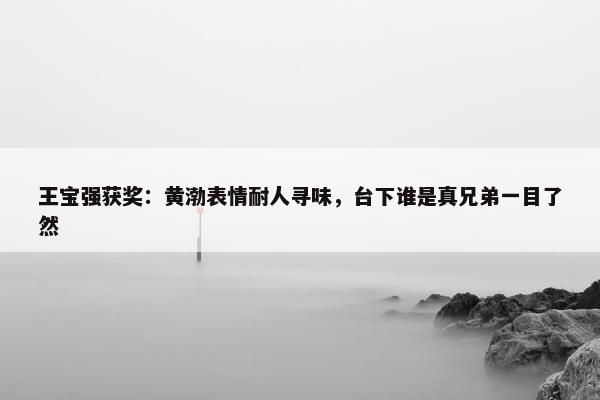 王宝强获奖：黄渤表情耐人寻味，台下谁是真兄弟一目了然