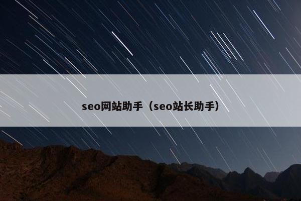 seo网站助手（seo站长助手）