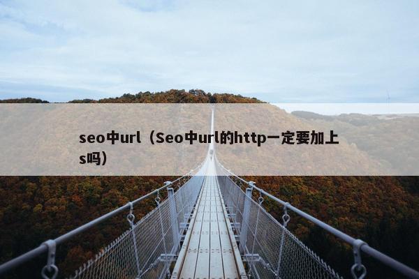 seo中url（Seo中url的http一定要加上s吗）