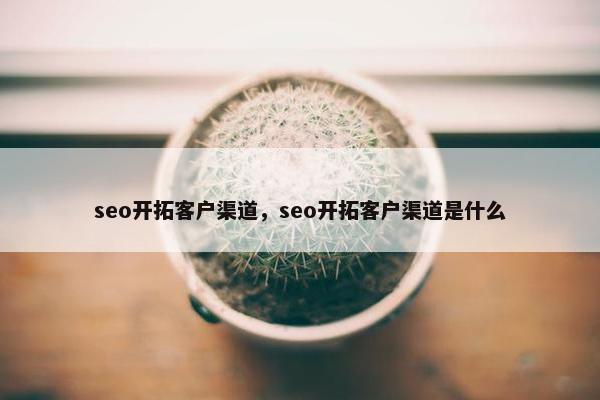 seo开拓客户渠道，seo开拓客户渠道是什么