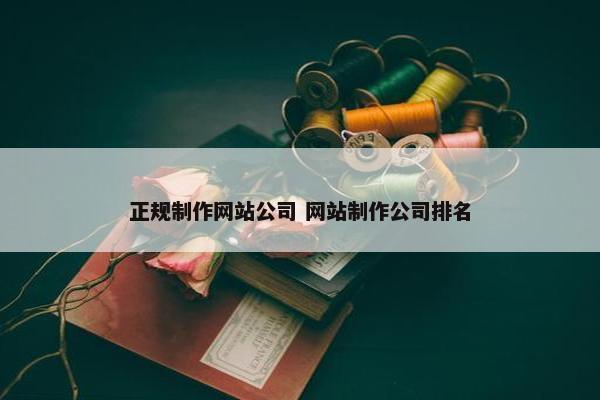 正规制作网站公司 网站制作公司排名