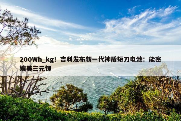 200Wh_kg！吉利发布新一代神盾短刀电池：能密媲美三元锂