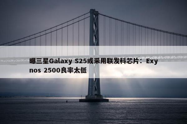 曝三星Galaxy S25或采用联发科芯片：Exynos 2500良率太低