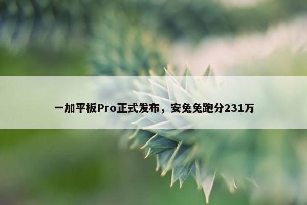 一加平板Pro正式发布，安兔兔跑分231万