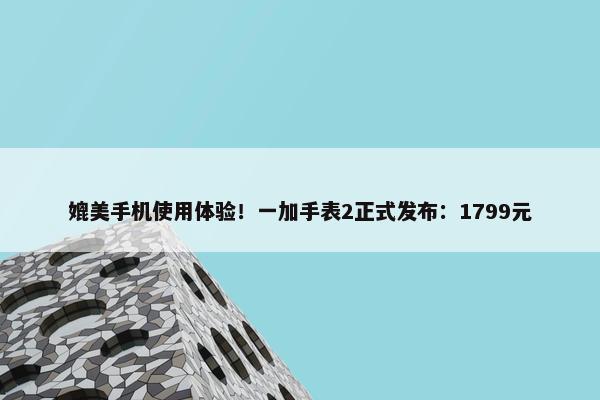 媲美手机使用体验！一加手表2正式发布：1799元