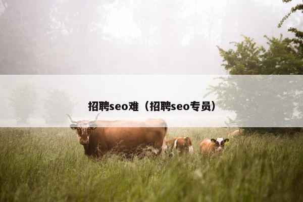 招聘seo难（招聘seo专员）