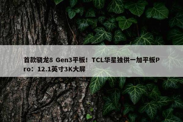 首款骁龙8 Gen3平板！TCL华星独供一加平板Pro：12.1英寸3K大屏