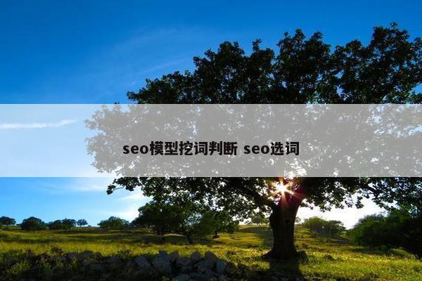 seo模型挖词判断 seo选词