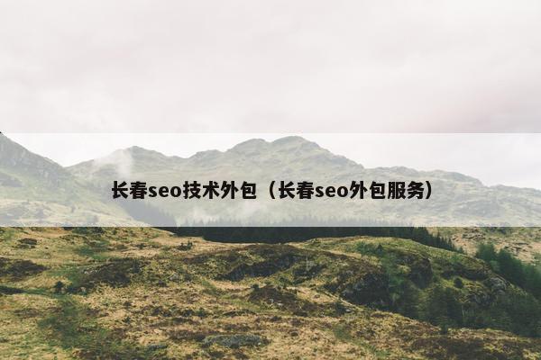 长春seo技术外包（长春seo外包服务）