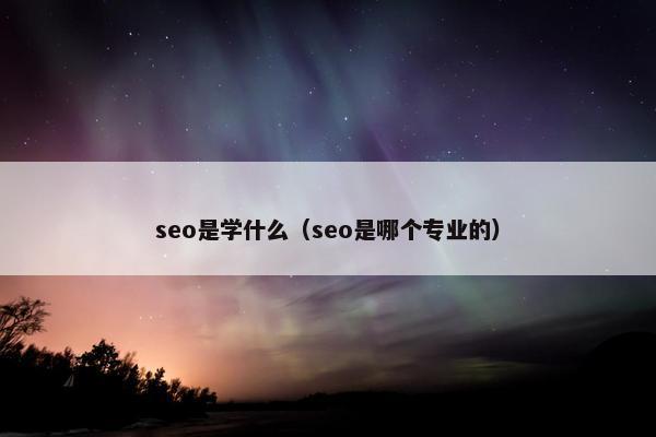 seo是学什么（seo是哪个专业的）