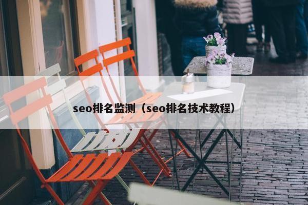 seo排名监测（seo排名技术教程）