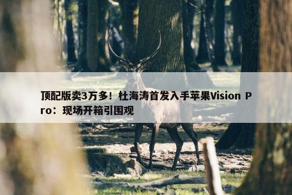 顶配版卖3万多！杜海涛首发入手苹果Vision Pro：现场开箱引围观