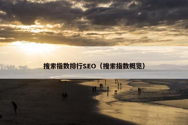 搜索指数排行SEO（搜索指数概览）