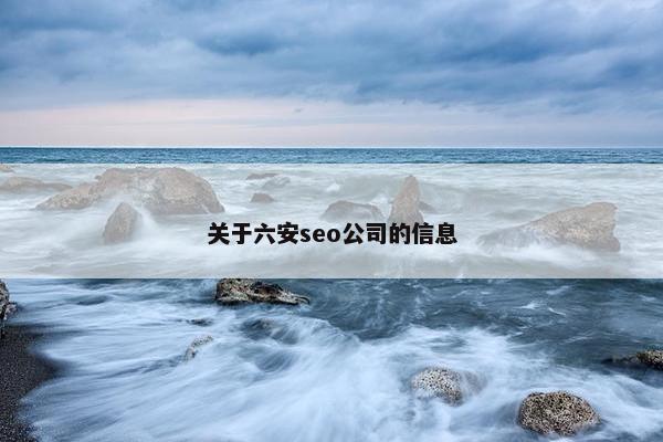 关于六安seo公司的信息