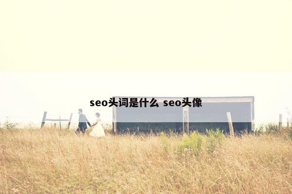 seo头词是什么 seo头像