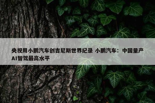 央视用小鹏汽车创吉尼斯世界纪录 小鹏汽车：中国量产AI智驾最高水平