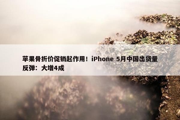 苹果骨折价促销起作用！iPhone 5月中国出货量反弹：大增4成