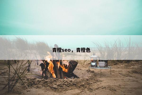 青橙seo，青橙色