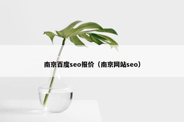 南京百度seo报价（南京网站seo）