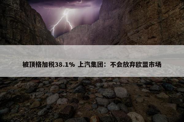 被顶格加税38.1% 上汽集团：不会放弃欧盟市场