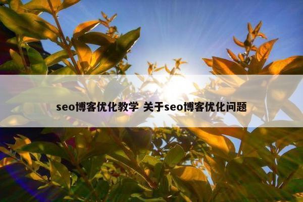 seo博客优化教学 关于seo博客优化问题