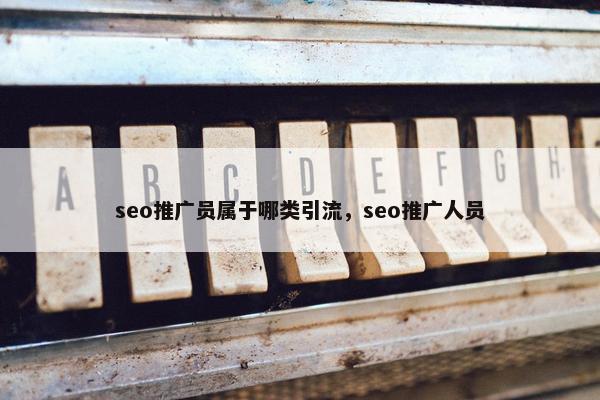 seo推广员属于哪类引流，seo推广人员